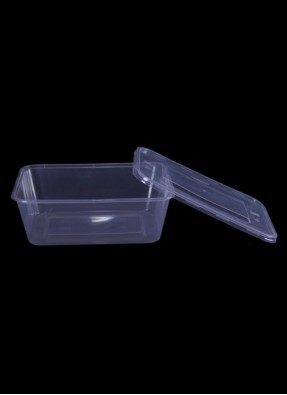 Elite Rectangle container 500-grams pack of 50